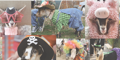 goat_couture_fashion_show_2023